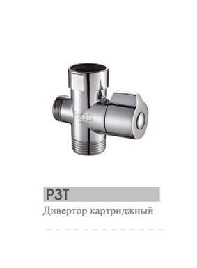 P3T
